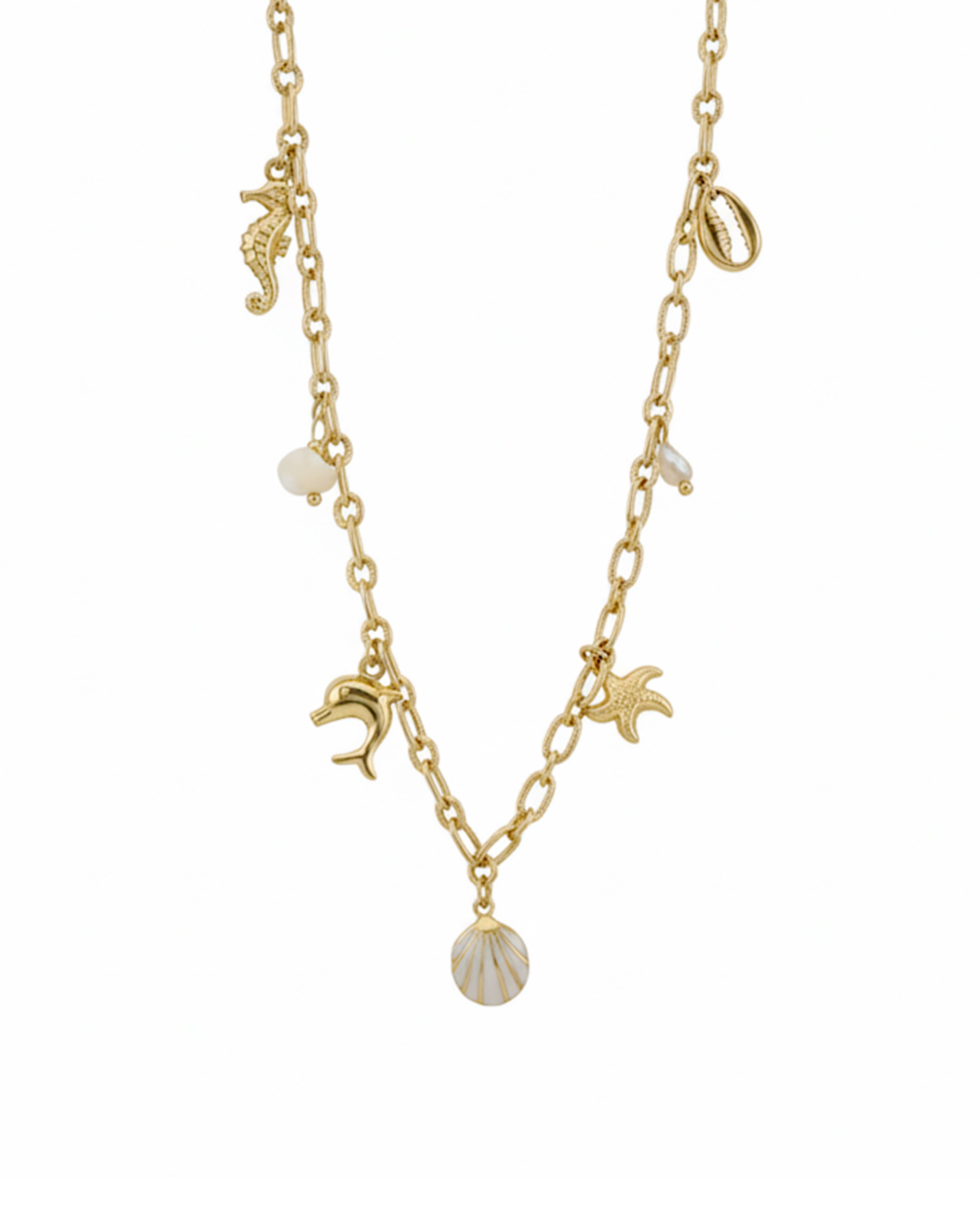 Muschel Kette