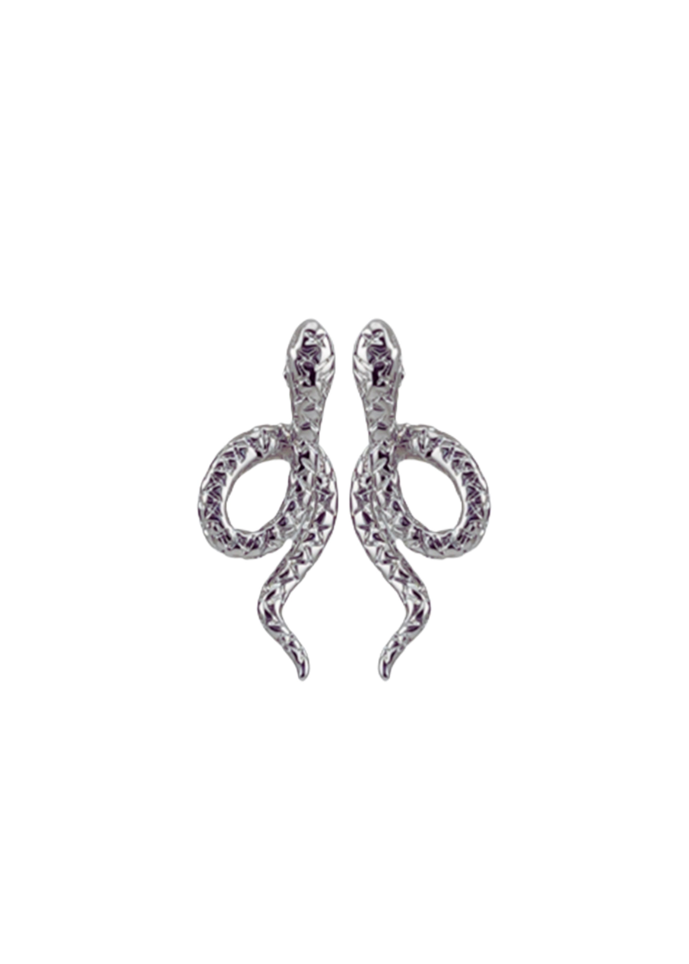 Silver Harmony Earring