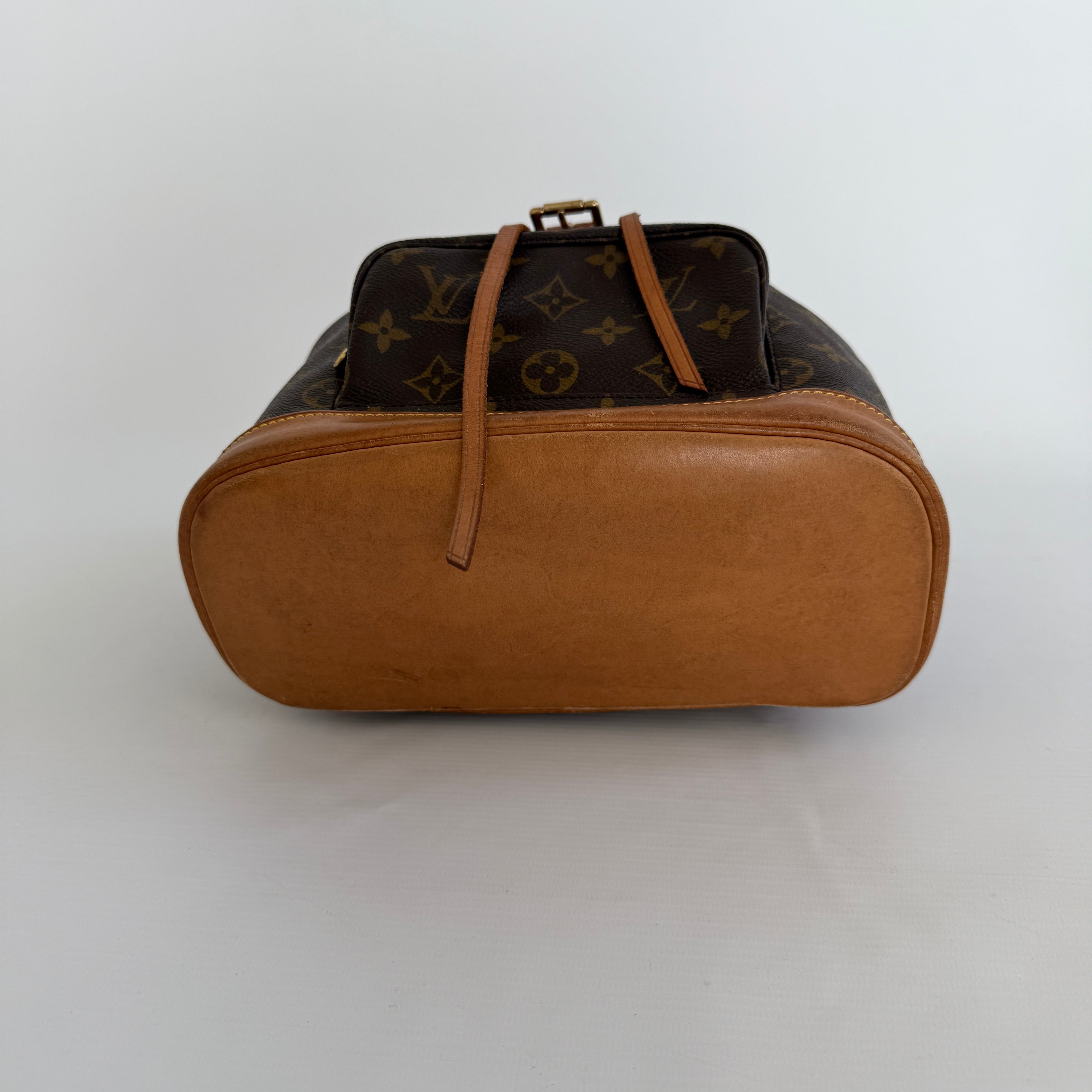 LOUIS VUITTON Rucksack "MONTSOURIS MM“