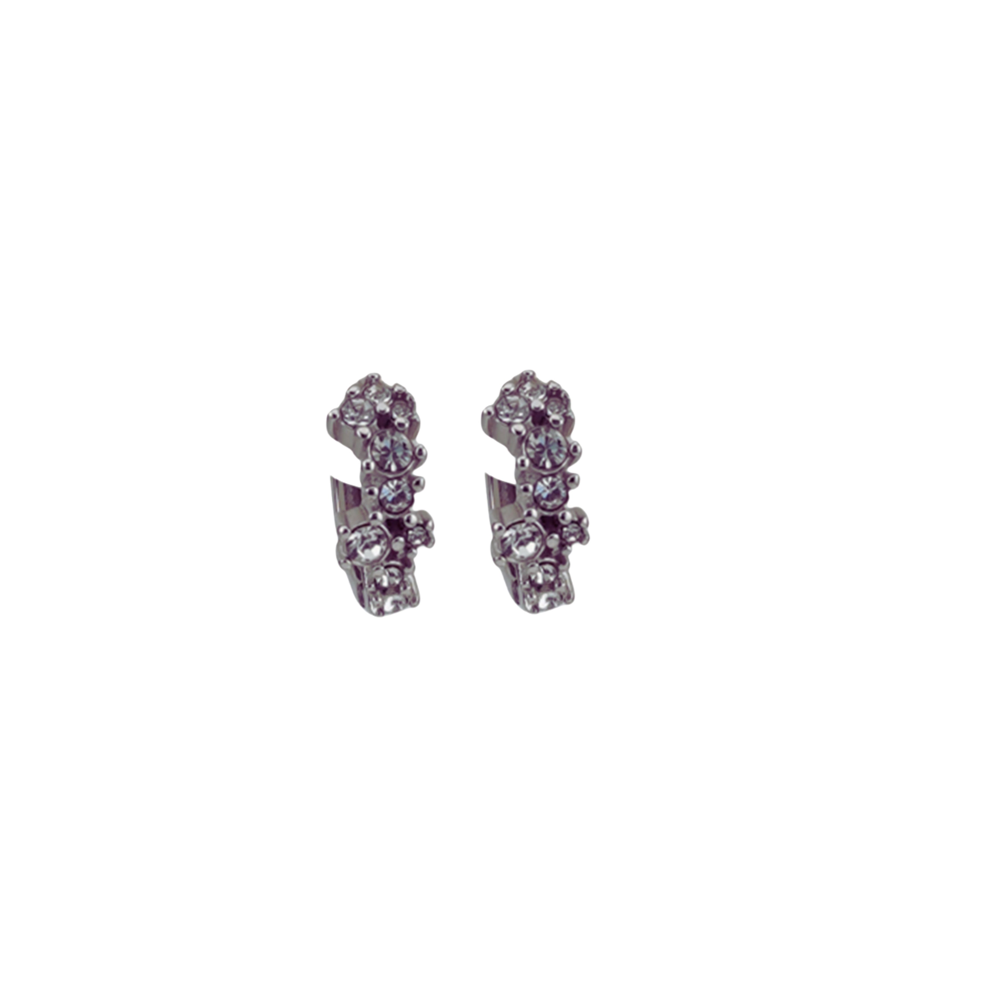 Bella Luna Earring